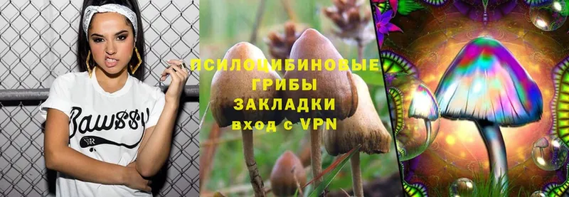 Галлюциногенные грибы MAGIC MUSHROOMS  Липки 